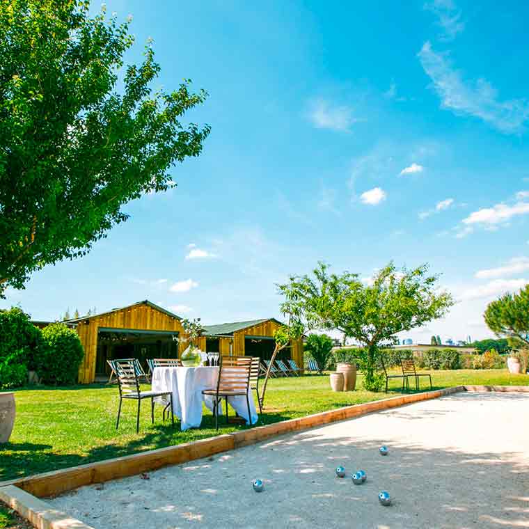 UN ESPACE ALLIANT NATURE ET ÉLÉGANCE DANS PARIS  - 2
